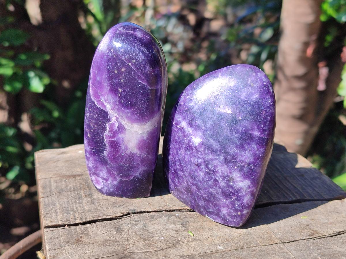 Polished Lepidolite Standing Free Forms x 4 From Zimbabwe - Toprock Gemstones and Minerals 