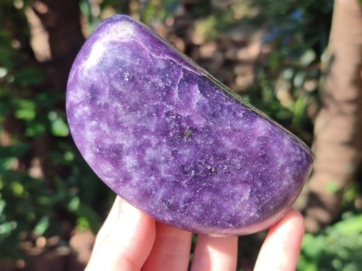 Polished Lepidolite Standing Free Forms x 4 From Zimbabwe - Toprock Gemstones and Minerals 