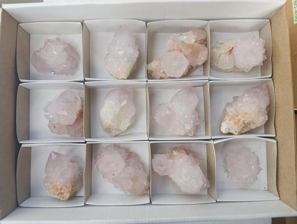 Natural Catcus Flower Spirit Quartz Crystals x 12 From Boekenhouthoek, South Africa - Toprock Gemstones and Minerals 