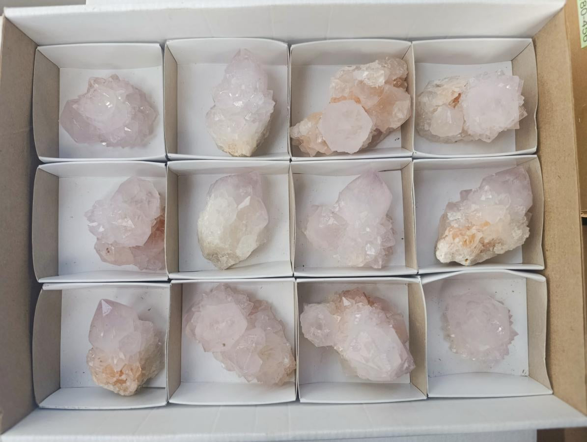 Natural Catcus Flower Spirit Quartz Crystals x 12 From Boekenhouthoek, South Africa - Toprock Gemstones and Minerals 