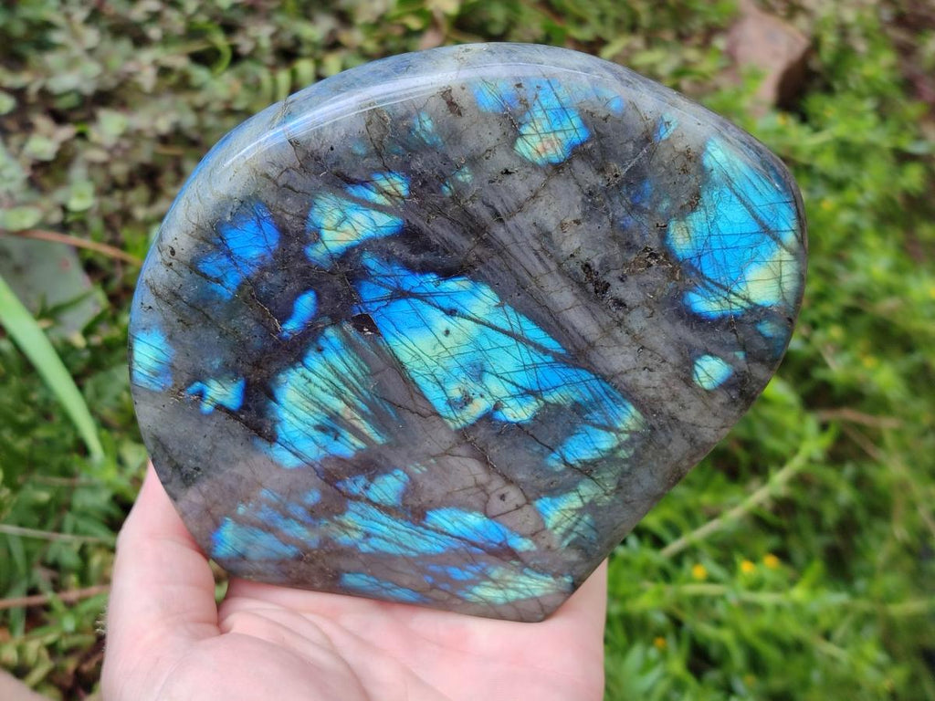 Polished Labradorite Standing Free Forms x 2 From Madagascar - Toprock Gemstones and Minerals 