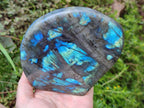 Polished Labradorite Standing Free Forms x 2 From Madagascar - Toprock Gemstones and Minerals 