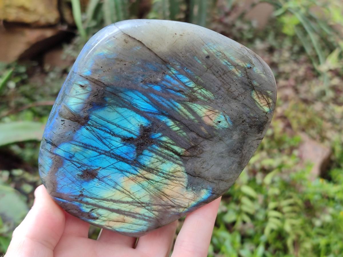 Polished Labradorite Standing Free Forms x 2 From Madagascar - Toprock Gemstones and Minerals 