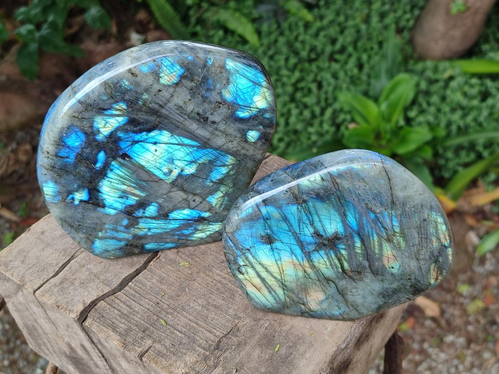 Polished Labradorite Standing Free Forms x 2 From Madagascar - Toprock Gemstones and Minerals 