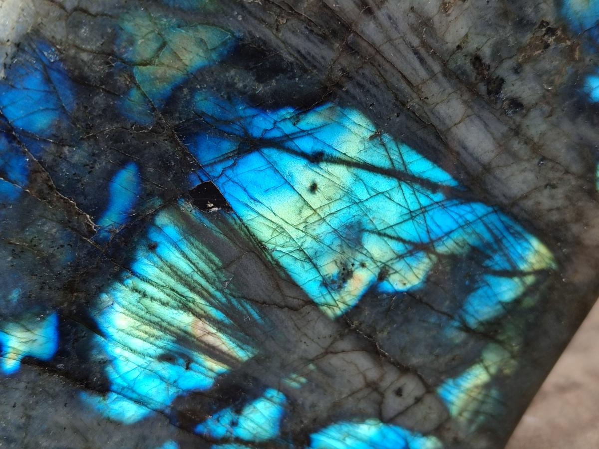 Polished Labradorite Standing Free Forms x 2 From Madagascar - Toprock Gemstones and Minerals 