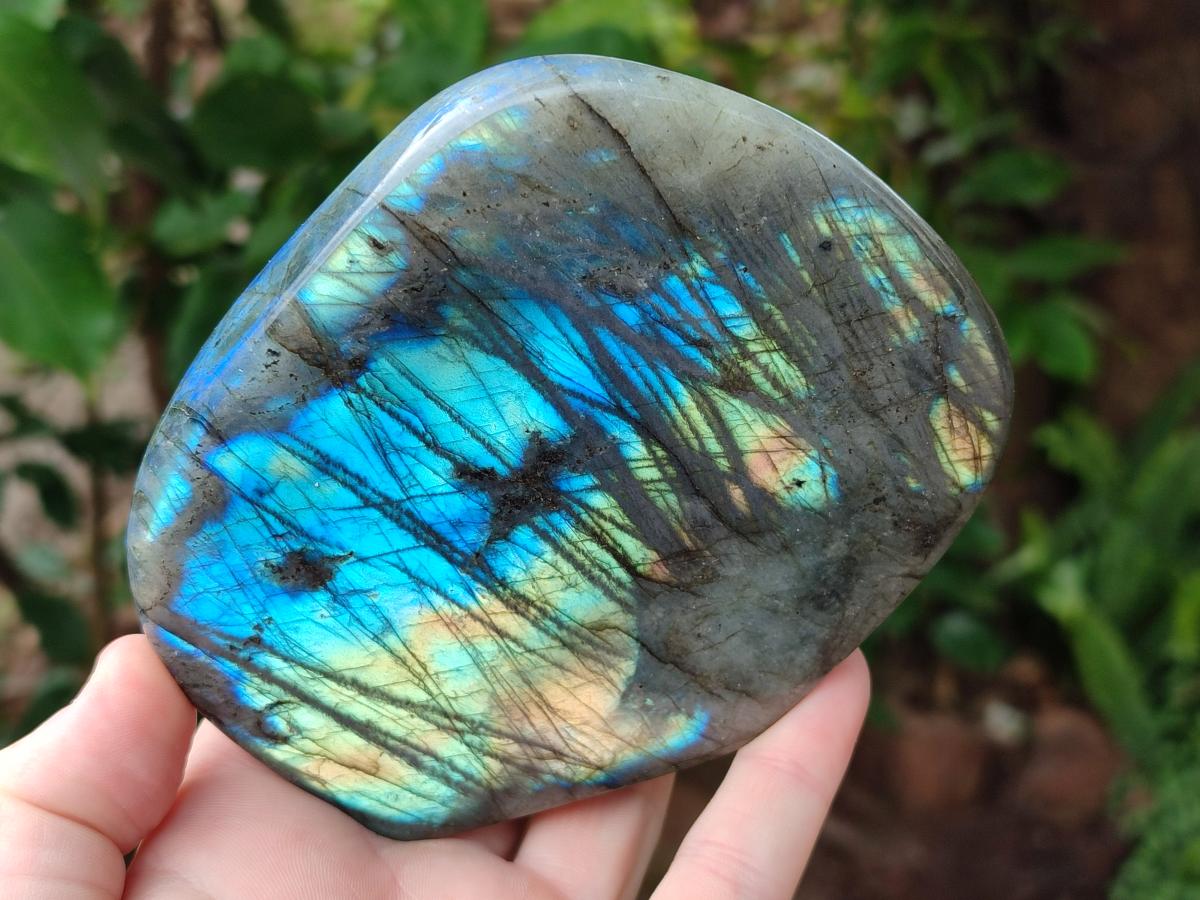 Polished Labradorite Standing Free Forms x 2 From Madagascar - Toprock Gemstones and Minerals 