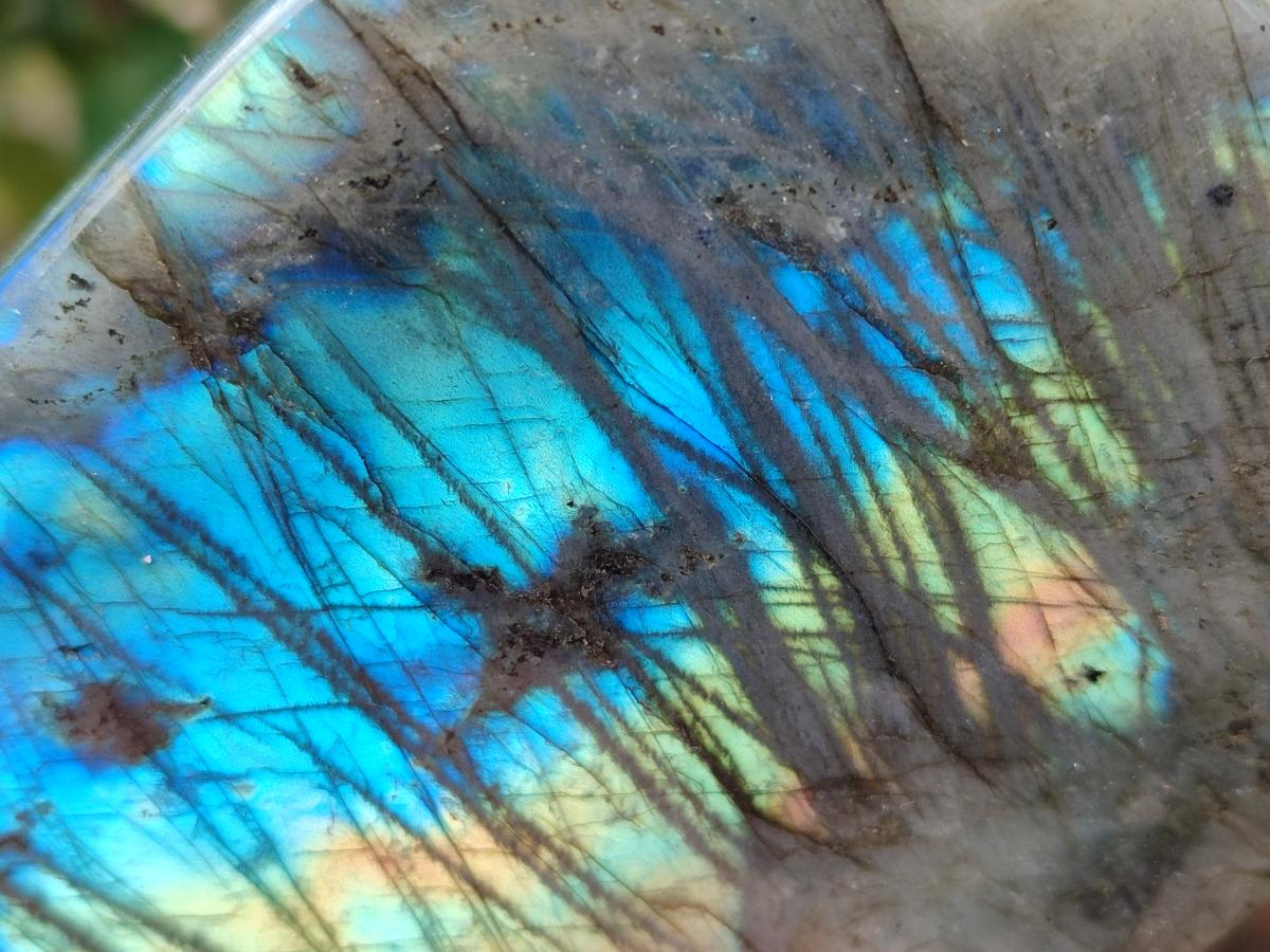 Polished Labradorite Standing Free Forms x 2 From Madagascar - Toprock Gemstones and Minerals 