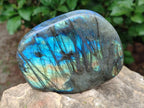 Polished Labradorite Standing Free Forms x 2 From Madagascar - Toprock Gemstones and Minerals 