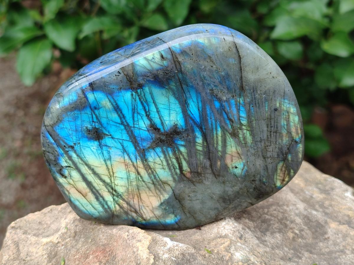Polished Labradorite Standing Free Forms x 2 From Madagascar - Toprock Gemstones and Minerals 
