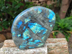 Polished Labradorite Standing Free Forms x 2 From Madagascar - Toprock Gemstones and Minerals 