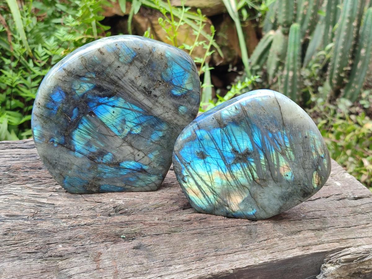 Polished Labradorite Standing Free Forms x 2 From Madagascar - Toprock Gemstones and Minerals 