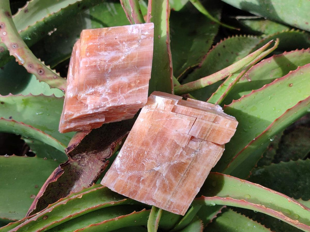 Natural Rhombohedral Sunset Orange Calcite Specimens x 6 From Spitzkop, Namibia - Toprock Gemstones and Minerals 