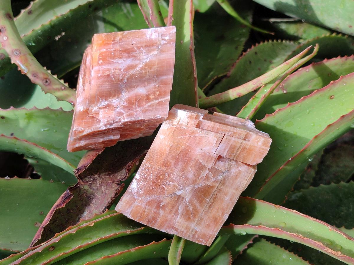 Natural Rhombohedral Sunset Orange Calcite Specimens x 6 From Spitzkop, Namibia - Toprock Gemstones and Minerals 