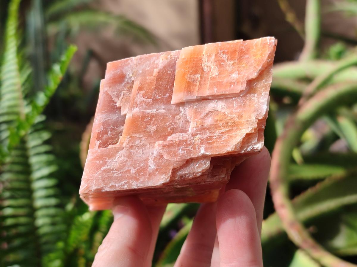 Natural Rhombohedral Sunset Orange Calcite Specimens x 6 From Spitzkop, Namibia - Toprock Gemstones and Minerals 