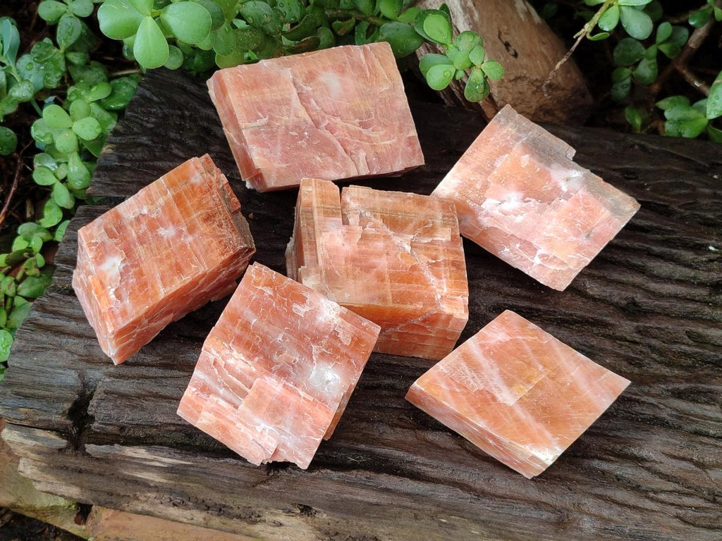Natural Rhombohedral Sunset Orange Calcite Specimens x 6 From Spitzkop, Namibia - Toprock Gemstones and Minerals 