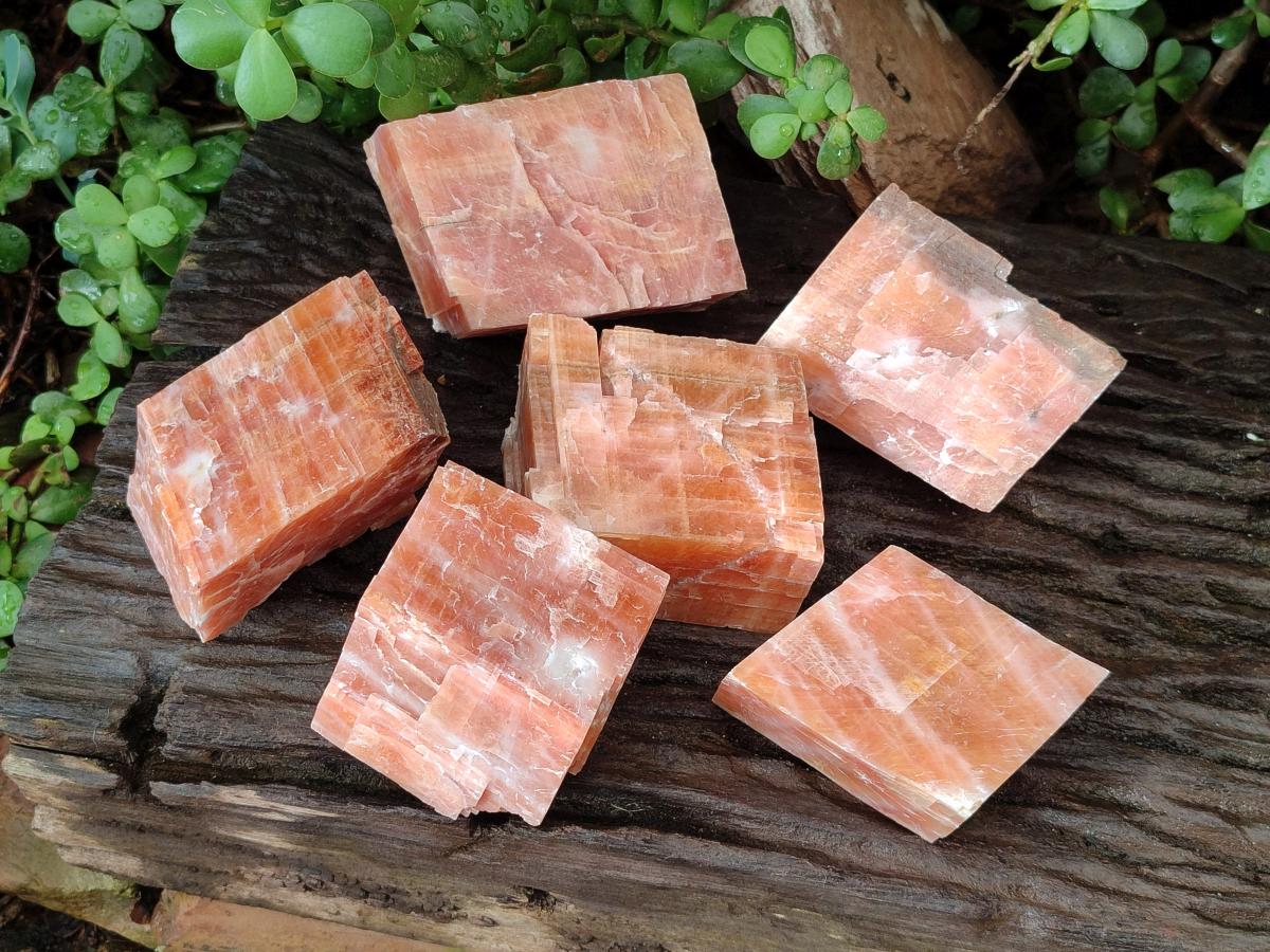 Natural Rhombohedral Sunset Orange Calcite Specimens x 6 From Spitzkop, Namibia - Toprock Gemstones and Minerals 