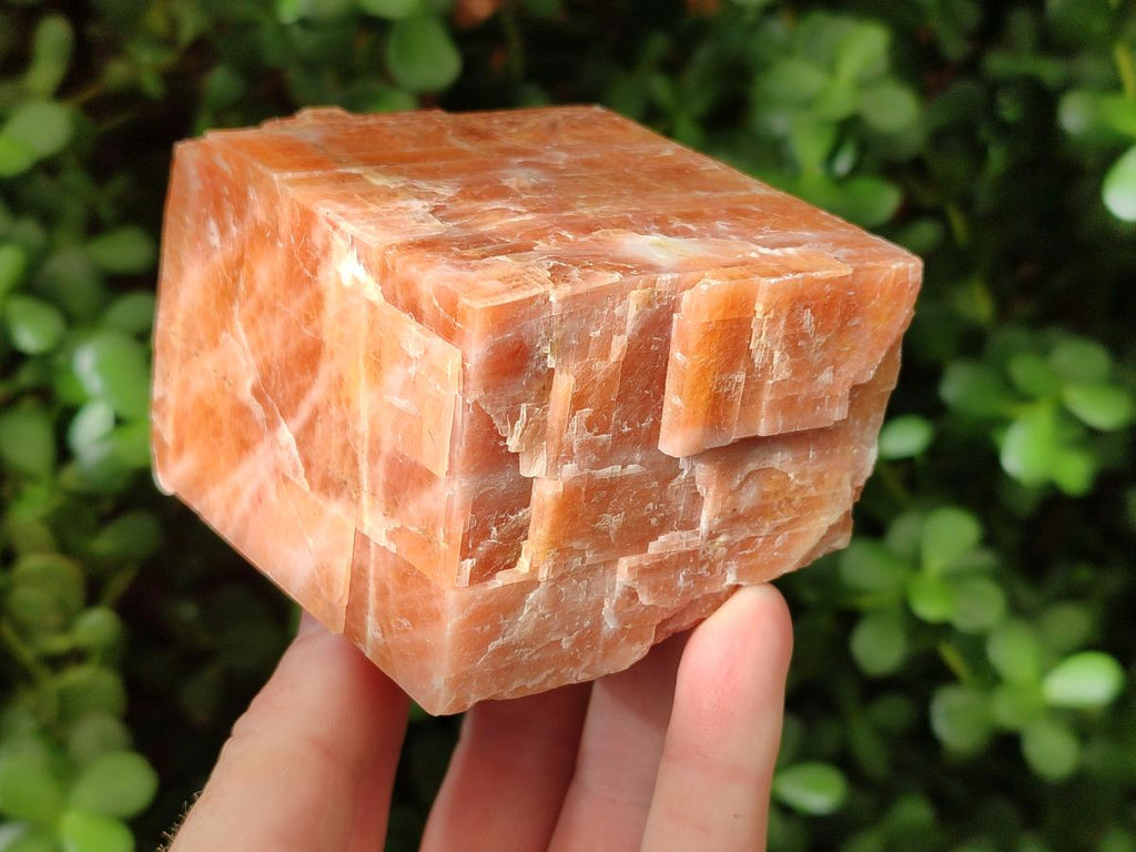Natural Rhombohedral Sunset Orange Calcite Specimens x 6 From Spitzkop, Namibia - Toprock Gemstones and Minerals 