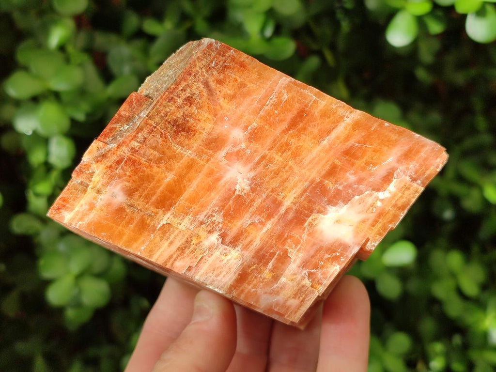 Natural Rhombohedral Sunset Orange Calcite Specimens x 6 From Spitzkop, Namibia - Toprock Gemstones and Minerals 