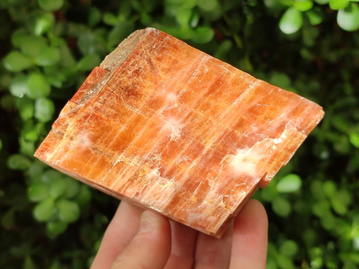Natural Rhombohedral Sunset Orange Calcite Specimens x 6 From Spitzkop, Namibia - Toprock Gemstones and Minerals 