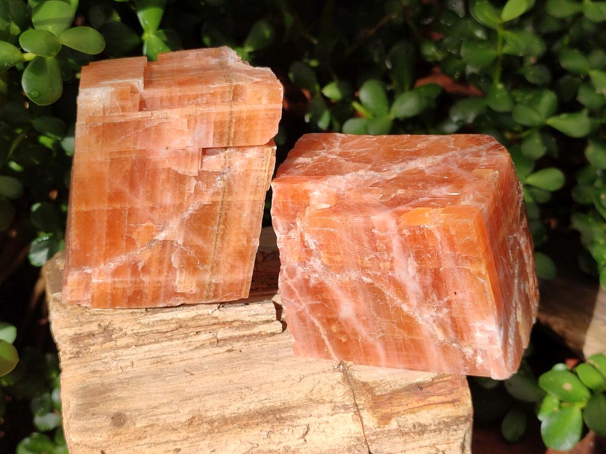 Natural Rhombohedral Sunset Orange Calcite Specimens x 6 From Spitzkop, Namibia - Toprock Gemstones and Minerals 