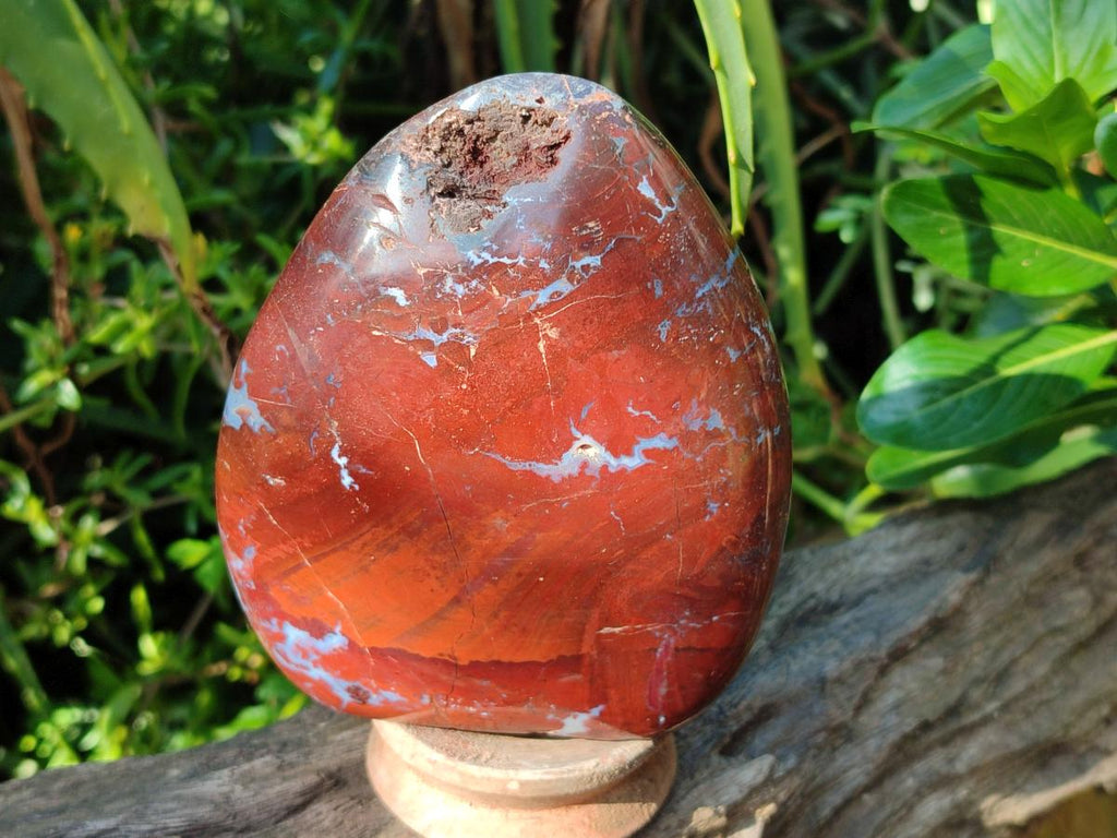 Polished Red Jasper Standing Free Forms x 2 From Madagascar - Toprock Gemstones and Minerals 