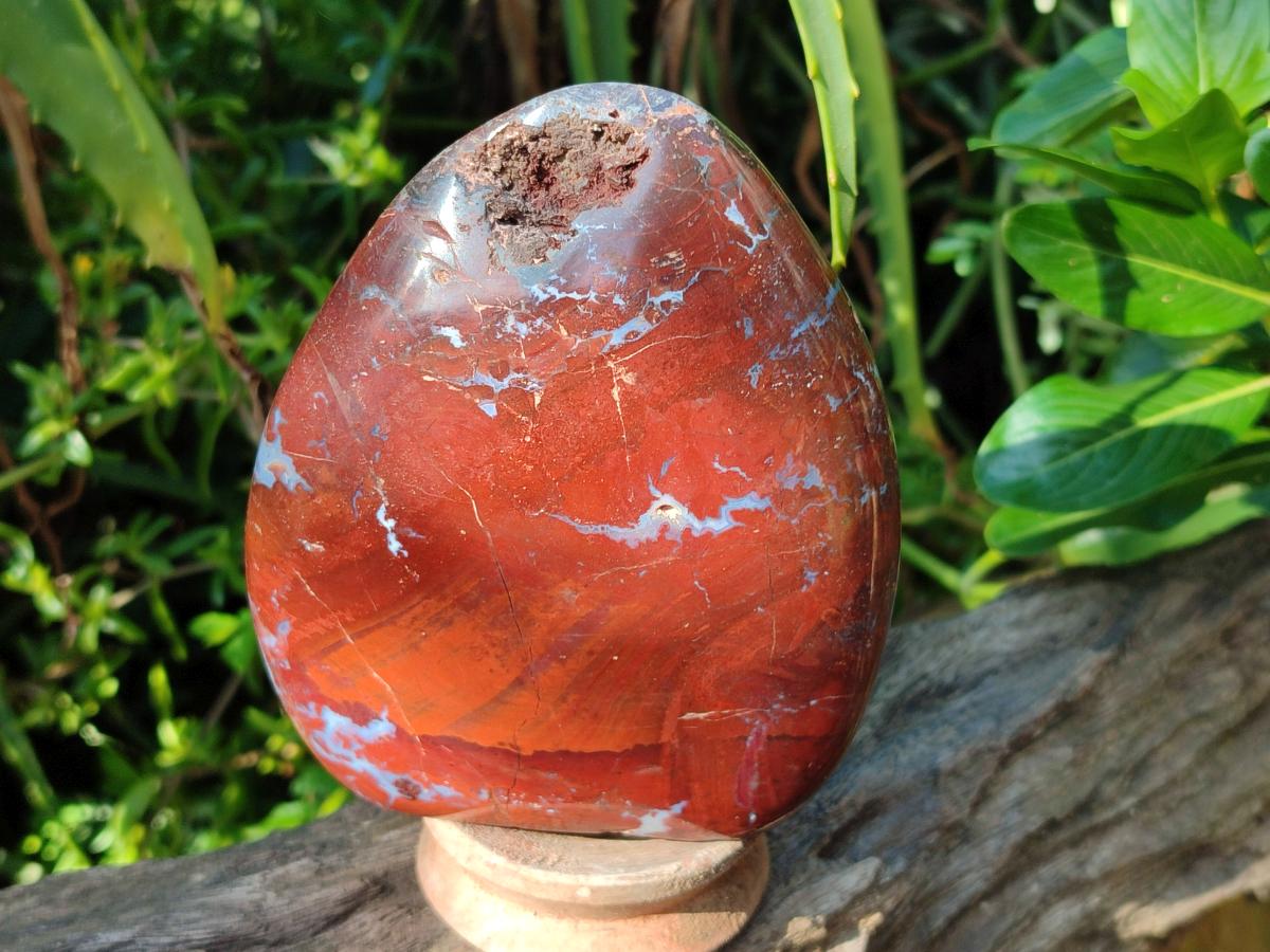 Polished Red Jasper Standing Free Forms x 2 From Madagascar - Toprock Gemstones and Minerals 