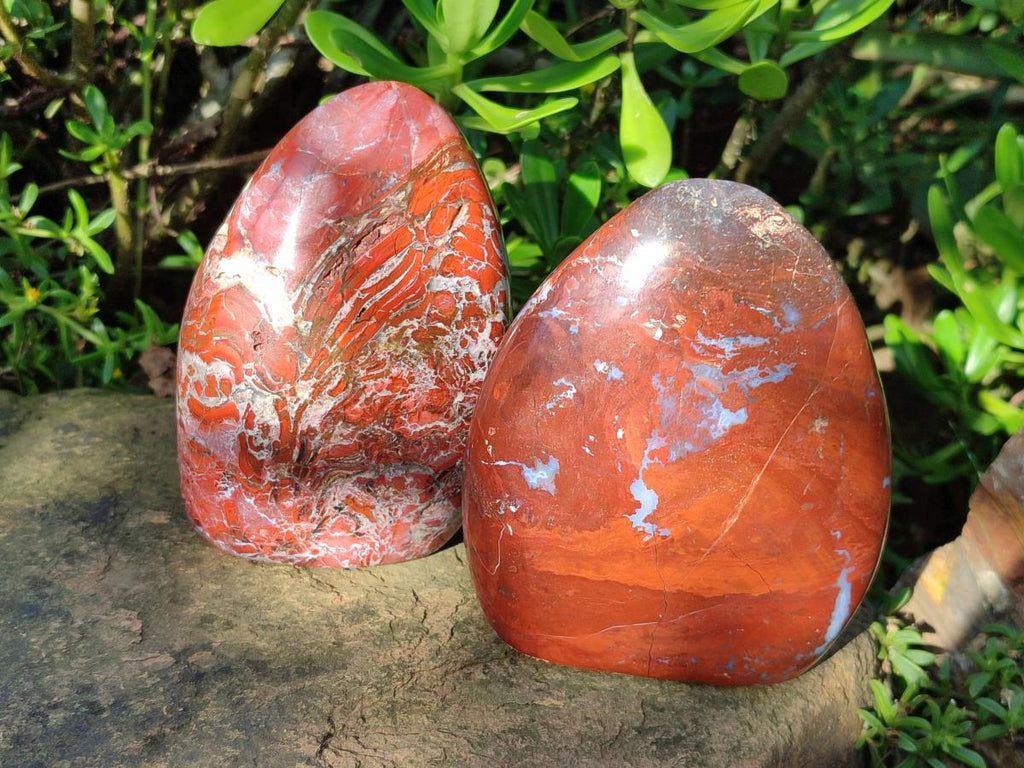 Polished Red Jasper Standing Free Forms x 2 From Madagascar - Toprock Gemstones and Minerals 