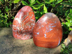 Polished Red Jasper Standing Free Forms x 2 From Madagascar - Toprock Gemstones and Minerals 