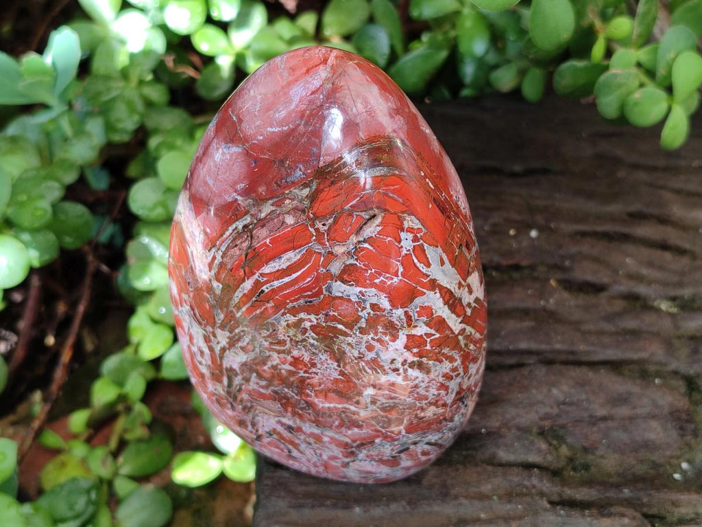 Polished Red Jasper Standing Free Forms x 2 From Madagascar - Toprock Gemstones and Minerals 