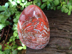 Polished Red Jasper Standing Free Forms x 2 From Madagascar - Toprock Gemstones and Minerals 