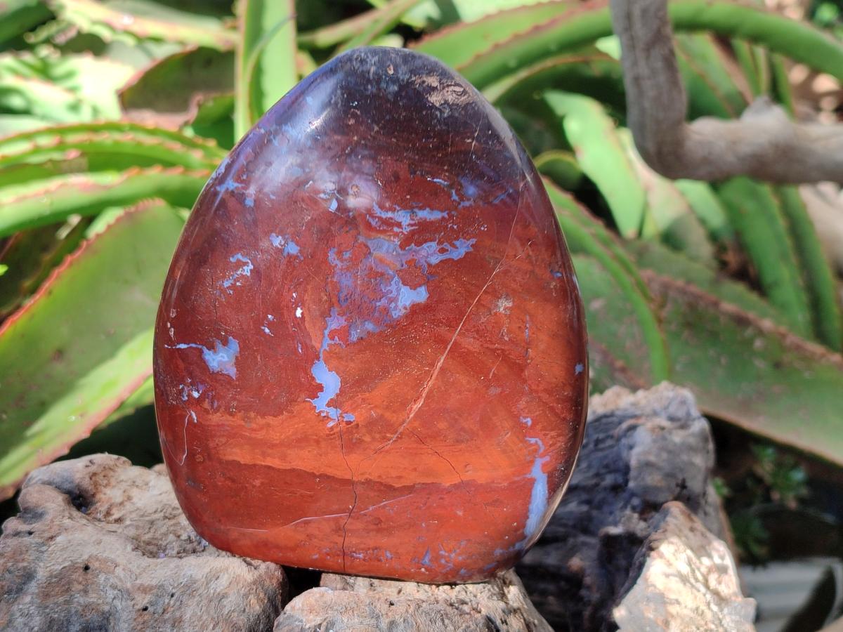 Polished Red Jasper Standing Free Forms x 2 From Madagascar - Toprock Gemstones and Minerals 