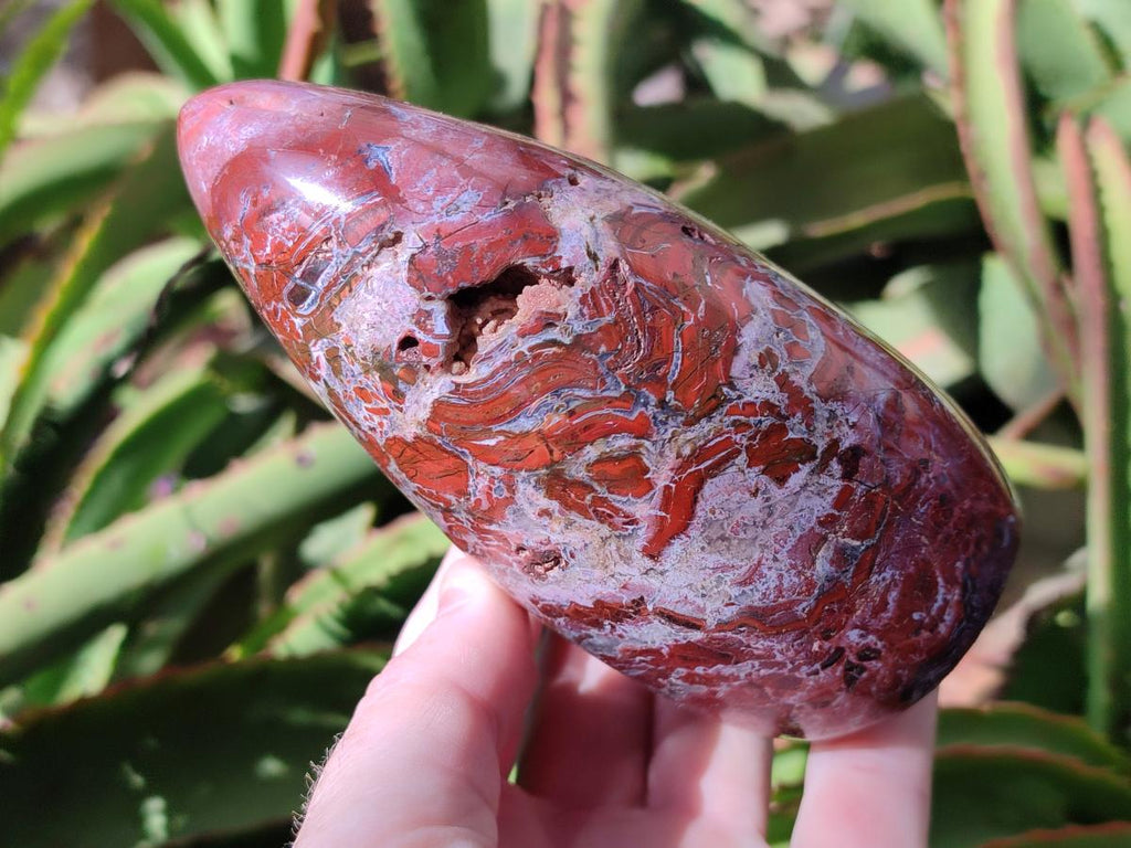 Polished Red Jasper Standing Free Forms x 2 From Madagascar - Toprock Gemstones and Minerals 