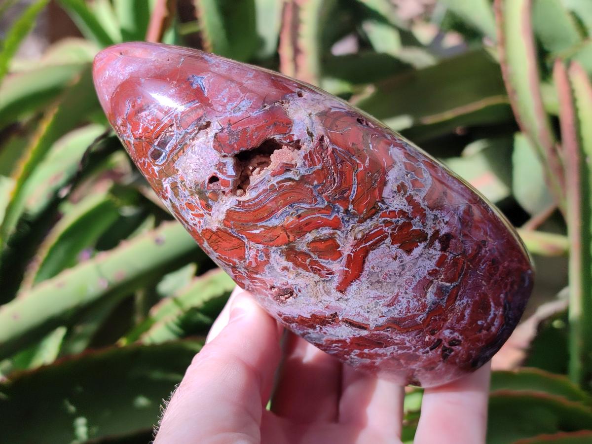 Polished Red Jasper Standing Free Forms x 2 From Madagascar - Toprock Gemstones and Minerals 