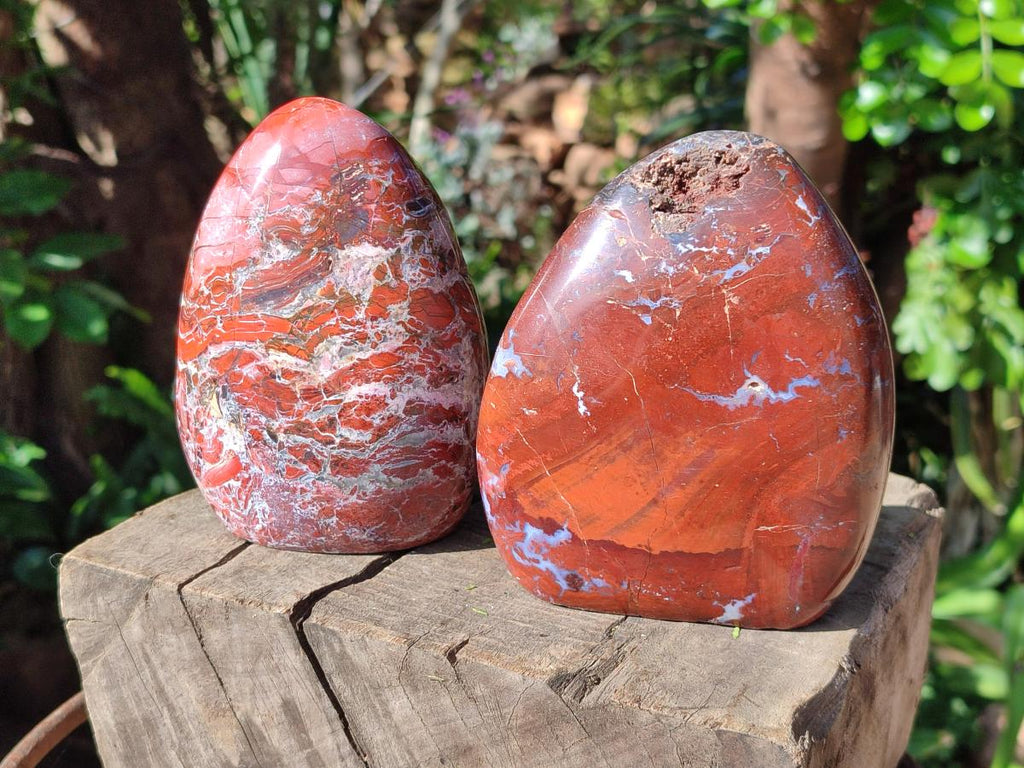 Polished Red Jasper Standing Free Forms x 2 From Madagascar - Toprock Gemstones and Minerals 