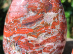 Polished Red Jasper Standing Free Forms x 2 From Madagascar - Toprock Gemstones and Minerals 