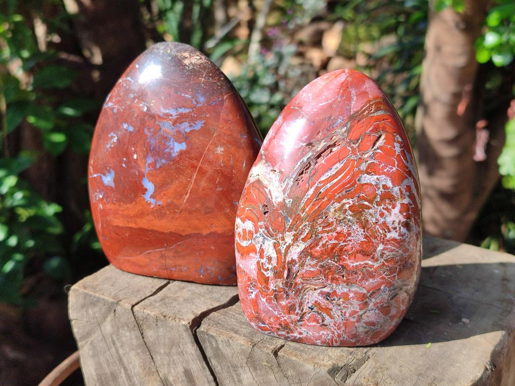 Polished Red Jasper Standing Free Forms x 2 From Madagascar - Toprock Gemstones and Minerals 