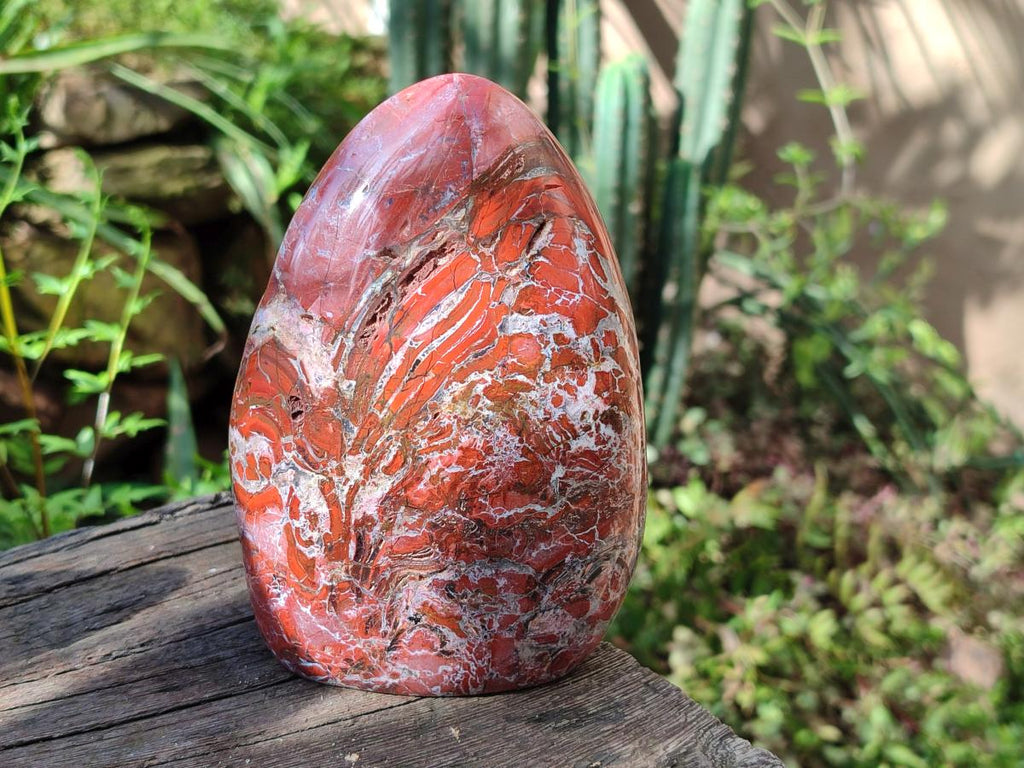Polished Red Jasper Standing Free Forms x 2 From Madagascar - Toprock Gemstones and Minerals 