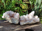 Natural Lilac Amethyst Spirit Clusters x 2 From Boekenhouthoek, South Africa - Toprock Gemstones and Minerals 