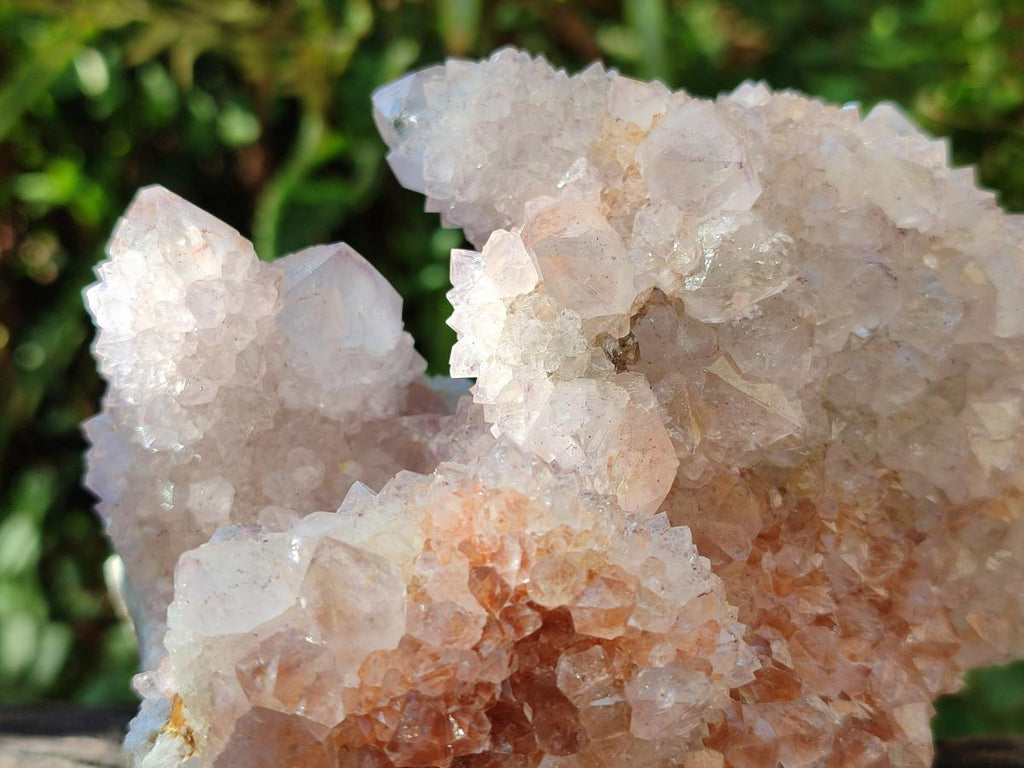 Natural Lilac Amethyst Spirit Clusters x 2 From Boekenhouthoek, South Africa - Toprock Gemstones and Minerals 