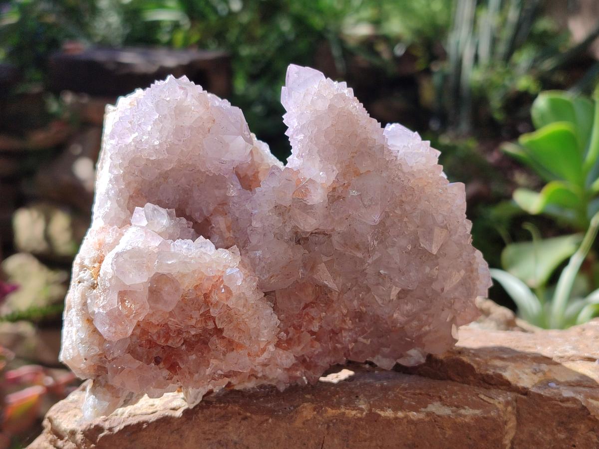Natural Lilac Amethyst Spirit Clusters x 2 From Boekenhouthoek, South Africa - Toprock Gemstones and Minerals 