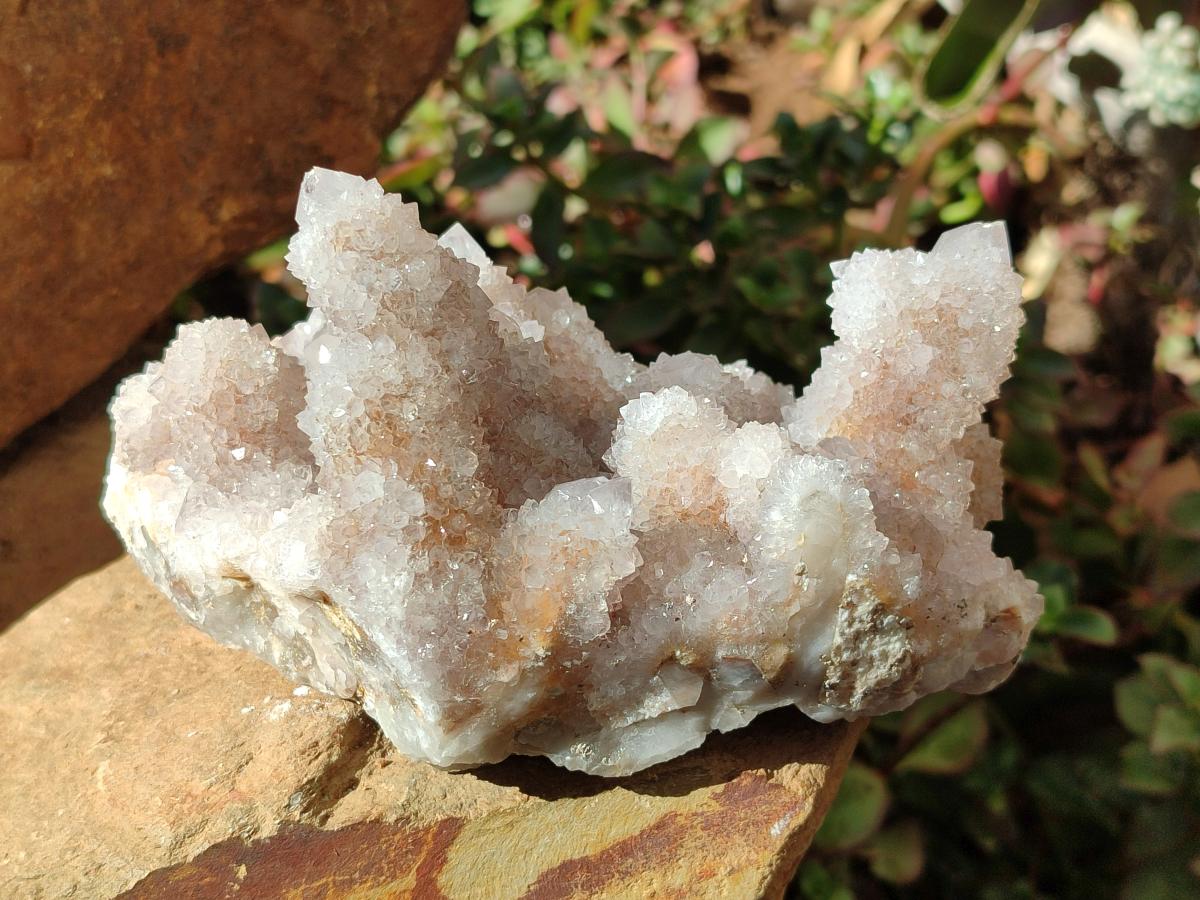 Natural Lilac Amethyst Spirit Clusters x 2 From Boekenhouthoek, South Africa - Toprock Gemstones and Minerals 