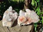 Natural Lilac Amethyst Spirit Clusters x 2 From Boekenhouthoek, South Africa - Toprock Gemstones and Minerals 