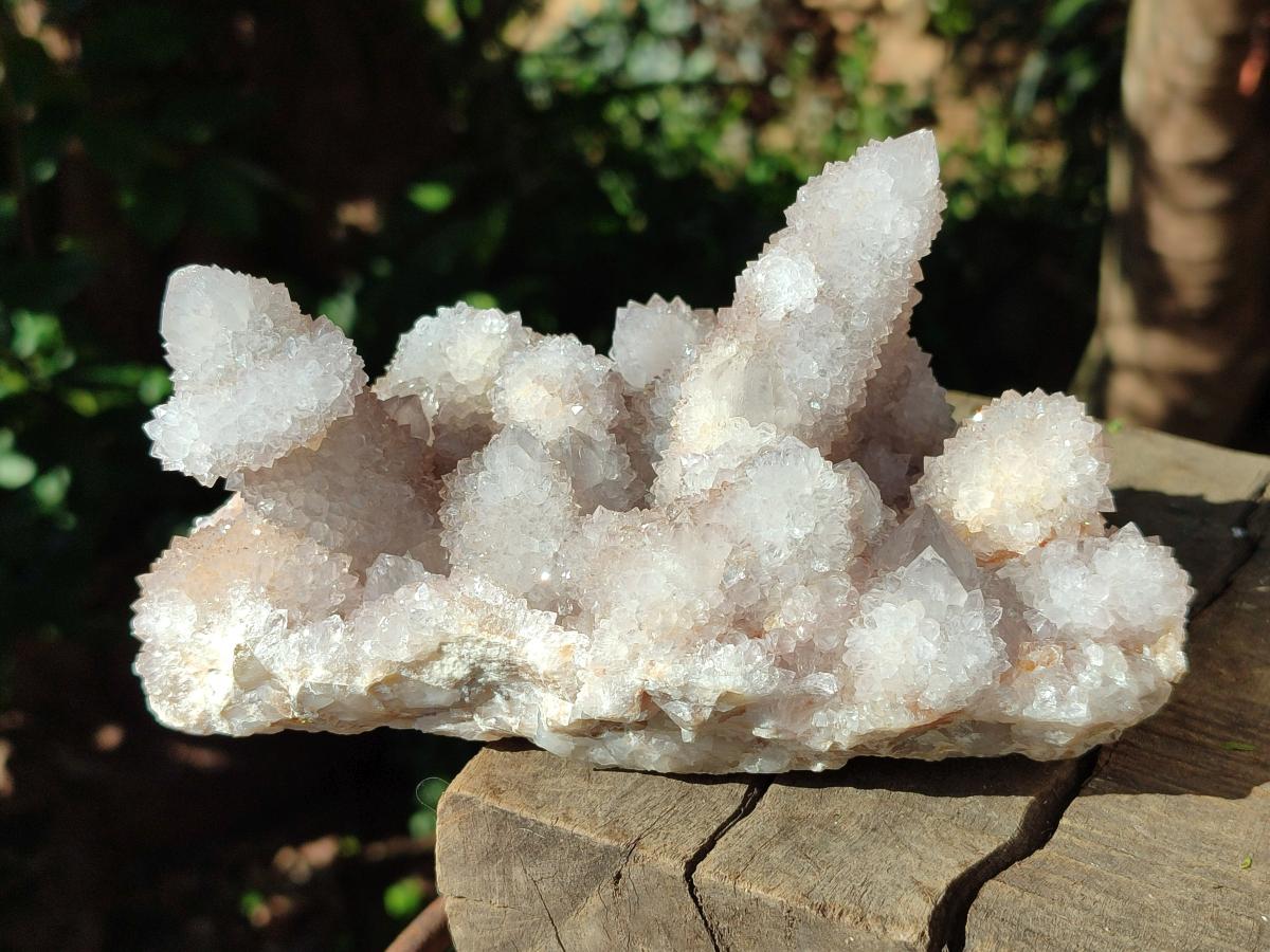 Natural Lilac Amethyst Spirit Clusters x 2 From Boekenhouthoek, South Africa - Toprock Gemstones and Minerals 