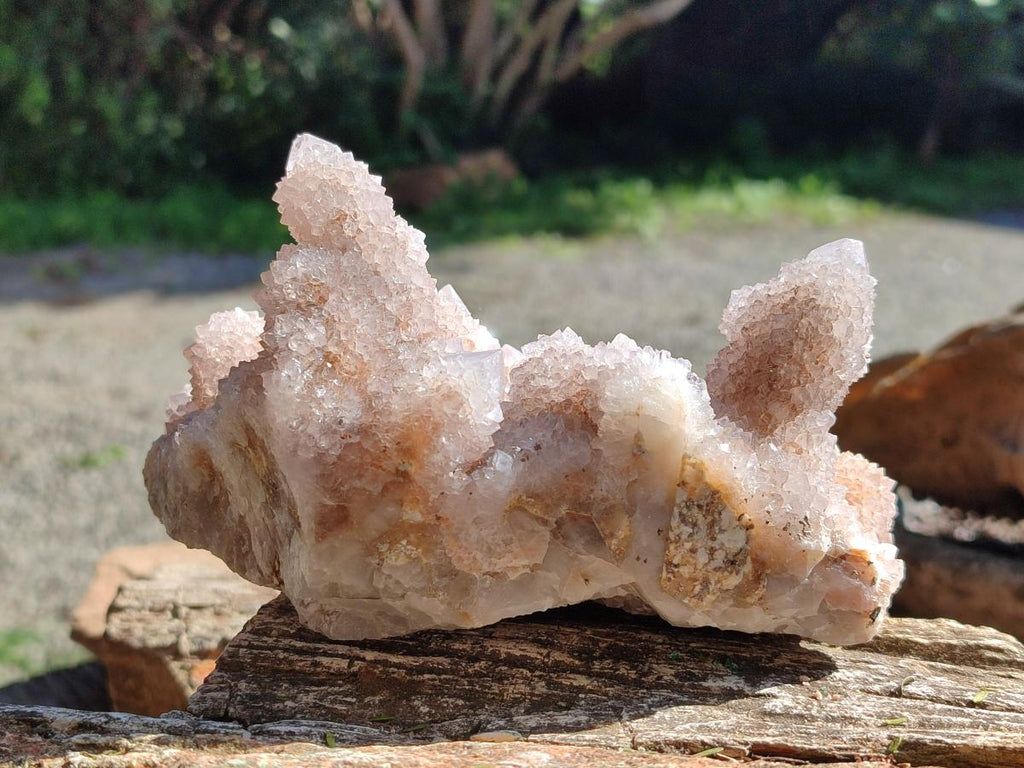 Natural Lilac Amethyst Spirit Clusters x 2 From Boekenhouthoek, South Africa - Toprock Gemstones and Minerals 