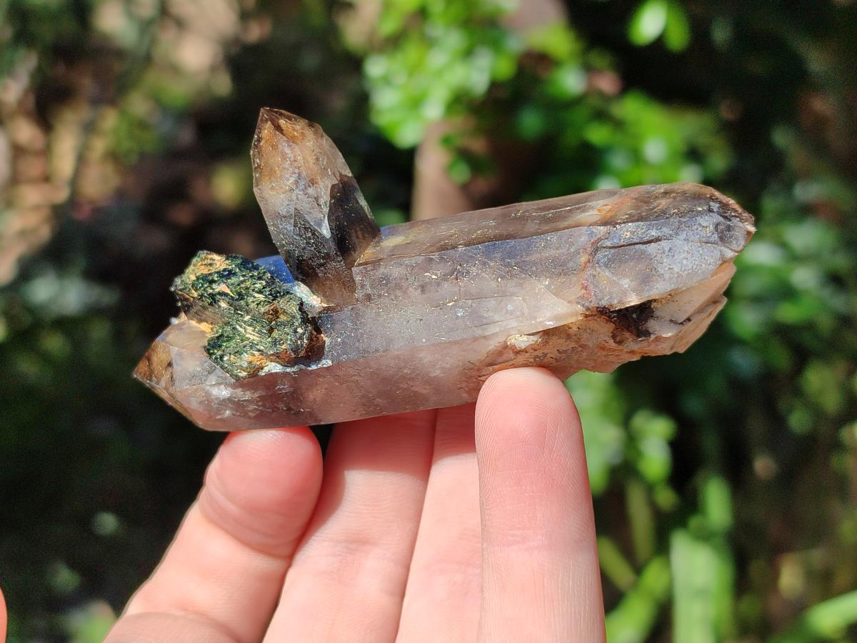 Natural Smokey Quartz Crystals x 12 From Zomba Plateau, Malawi - Toprock Gemstones and Minerals 