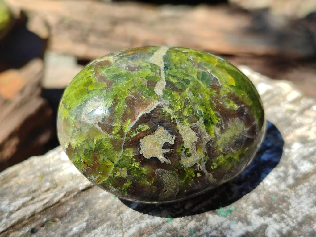 Polished Green Opal Palm Stones x 12 From Betroka, Madagascar - Toprock Gemstones and Minerals 