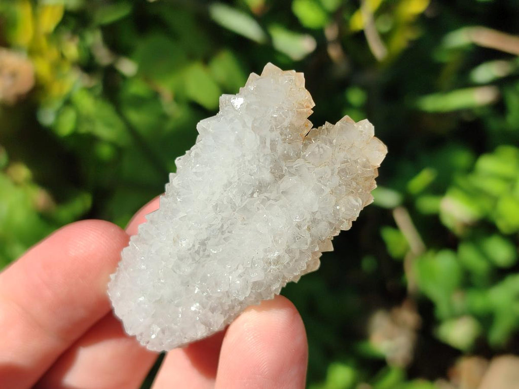 Natural Drusy Snow Finger Crystals x 70 From Albert's Mountain, Lesotho - Toprock Gemstones and Minerals 