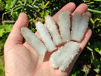 Natural Drusy Snow Finger Crystals x 70 From Albert's Mountain, Lesotho - Toprock Gemstones and Minerals 