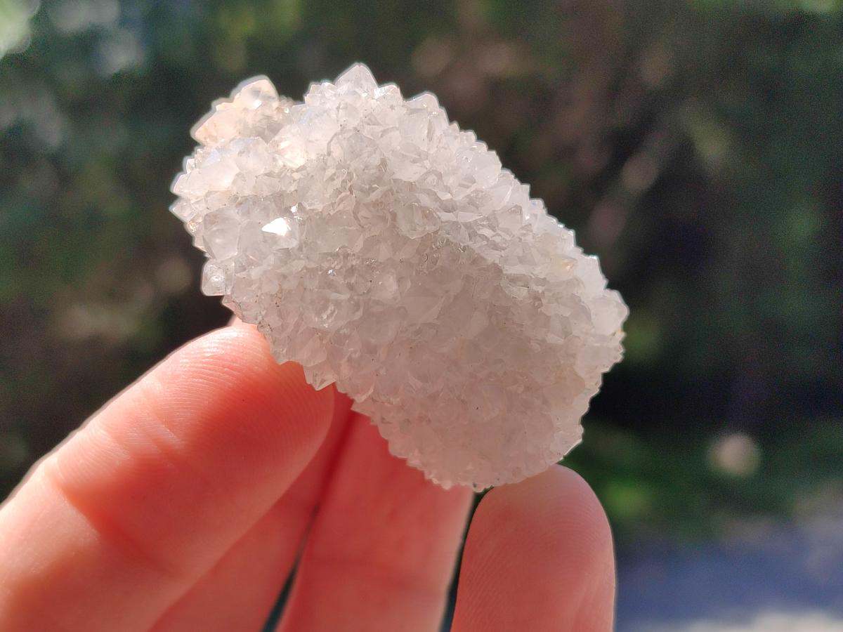 Natural Drusy Snow Finger Crystals x 70 From Albert's Mountain, Lesotho - Toprock Gemstones and Minerals 