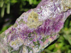 Natural Stichtite Cobbed Specimens x 3 From Barberton, South Africa - Toprock Gemstones and Minerals 